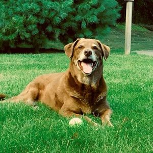 Meet your Posher, Mark